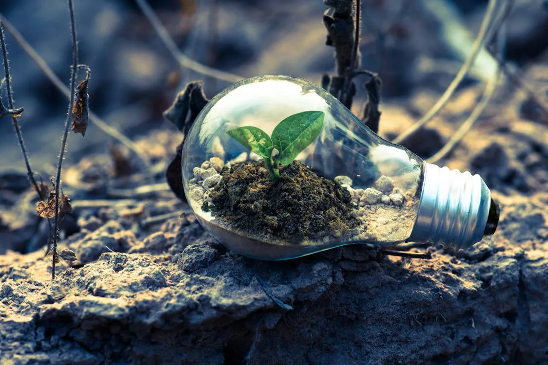 You are currently viewing Another step by the INNO-GENE S.A. Group on the way to green hydrogen production